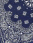 navy paisley